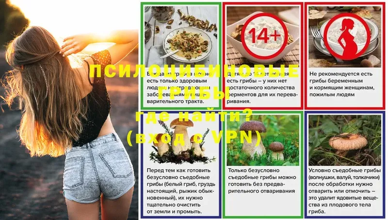 Псилоцибиновые грибы MAGIC MUSHROOMS  как найти закладки  Реутов 